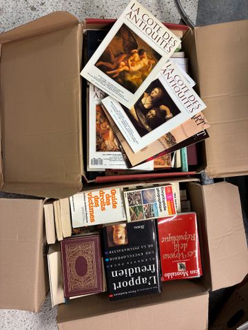 Lot de 2 cartons dont livres d’art, peinture, l’antiquité, guides...