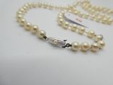 collier de perles avec fermoir en argent sur fond blanc