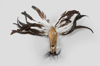 the head of a deer with feathers on it ' s head