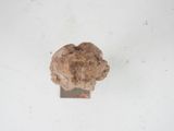 a piece of bread that is sitting on top of a piece of paper