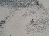 an image of a painting of a dog with a name written on it