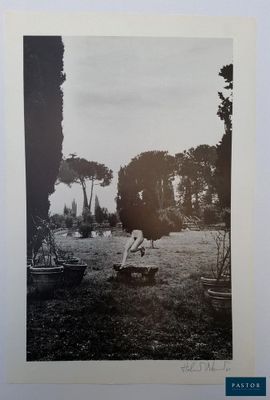 black and white photograph of an ostrich standing on a bench in a park