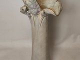 a vase with a flower inside of it on a white surface