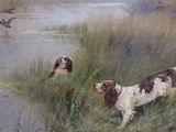 two dogs that are standing in the grass by the water