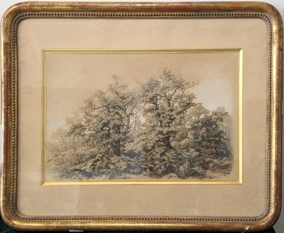 Ecole du XIXe siècle Forêt de Fontainebleau Fusain et craie …