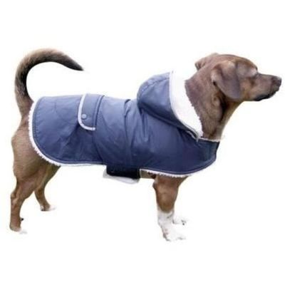 a dog that is wearing a blue jacket on a white background