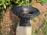 un bain d'oiseaux posé sur un socle en pierre dans l'herbe