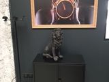 a cat sitting on top of a cabinet in a room