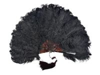 Plumes noires, Europe, vers 1890-1900 (photo 2)