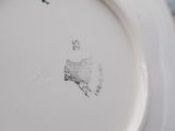 a white plate with a picture of a cat on it
