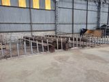 un grand entrepôt contenant beaucoup de bois