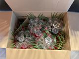 a cardboard box with a bunch of empty wine glasses in it