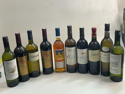 11 bouteilles VINS DIVERS