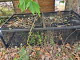 a large metal box with plants growing out of it