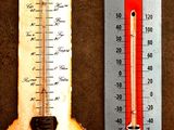 deux thermomètres à l'ancienne exposés sur une table