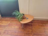 a small table with a potted plant on top of it
