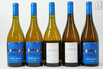 six bouteilles de vin sont alignées sur une surface blanche
