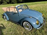 a blue vw buggy parked in a field