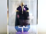 une vitrine en verre contenant une figurine violette et noire