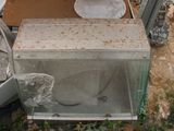 a broken toilet in a glass box on the ground