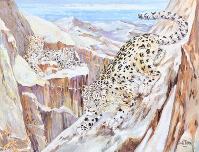 tableau représentant un léopard des neiges sur le flanc d'une montagne enneigée