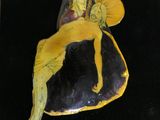 a picture of a glass figurine of a woman on a rock