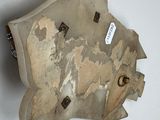 a brown bear head on the wall with a tag on it