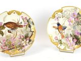 two plates with birds and flowers painted on them on a white surface