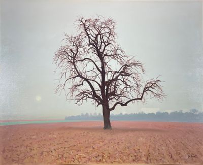 une photo d'un arbre au milieu d'un champ
