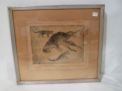 une image représentant un guépard dans un cadre sur fond blanc