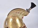 an image of a gold helmet with a leopard print on it