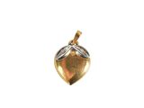 a close up of a gold and silver pendant on a white background