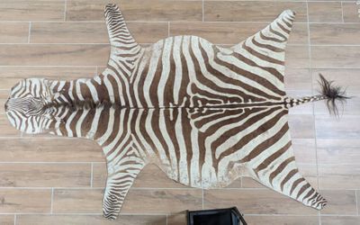 un tapis zébré posé par terre à côté d'une chaise