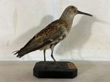 un oiseau perché sur un bloc de bois