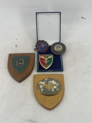several badges are displayed on a white surface with a blue case
