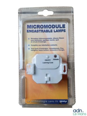 Lot de 100 récepteurs télécommandés pour plafonnier, appliqu…