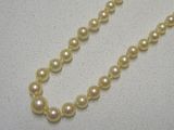 un gros plan d'un collier de perles blanches posé sur une table