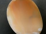a shell on a black surface with a small hole in the middle