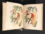 two pages of a book with illustrations of birds on them