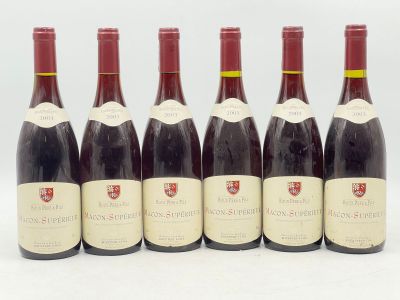 six bouteilles de vin sont alignées sur une surface blanche