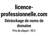 Photo 1/1 du lot