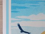 a picture of a picture of a bird flying in the sky