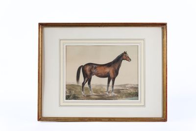 un tableau représentant un cheval debout dans un champ, sur fond blanc