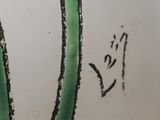 a drawing on the wall of a plant with a face drawn on it