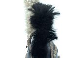 an image of a close up of a helmet with feathers