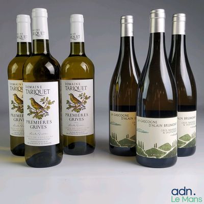 plusieurs bouteilles de vin sont alignées sur une table