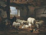 Photo 1/1 du lot