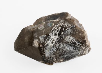 a close up of a rock on a white surface with a white background