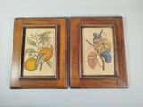 deux tableaux encadrés représentant des fruits et des feuilles sur un mur blanc