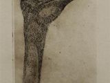 drawing of an ostrich in a black and white photo